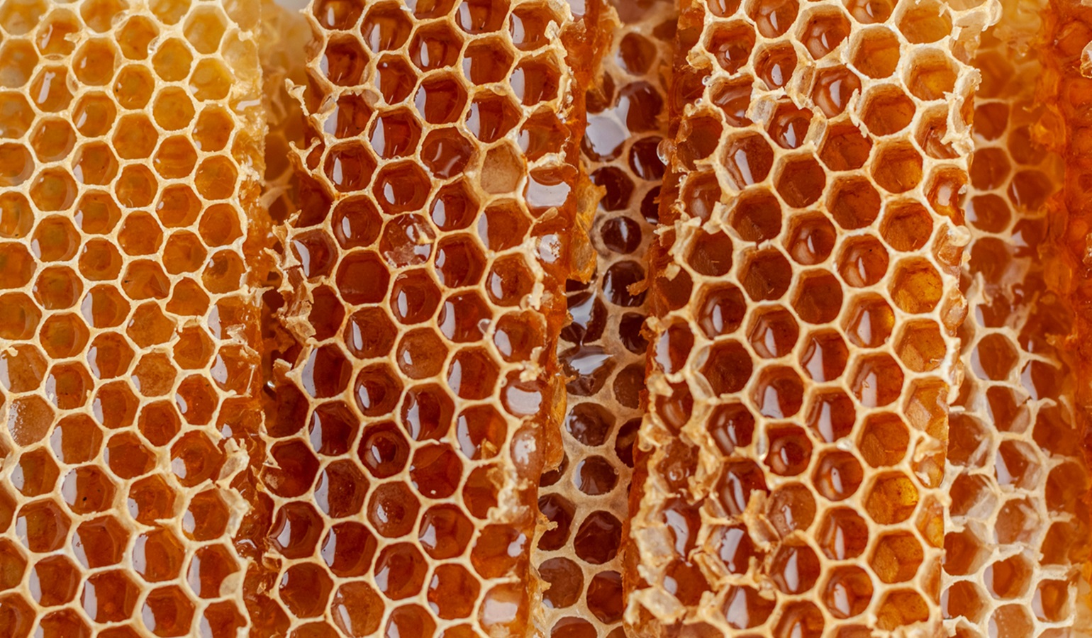 Honey Comb